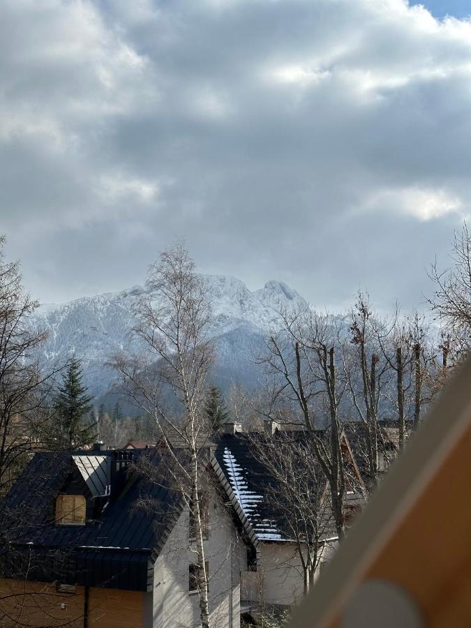 Willa Ornak Zakopane Ngoại thất bức ảnh
